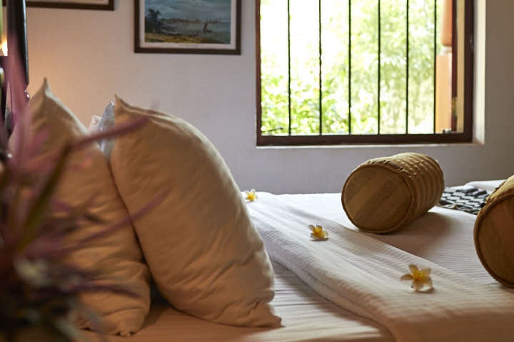 Villa Sunbird Negombo Eksteriør bilde